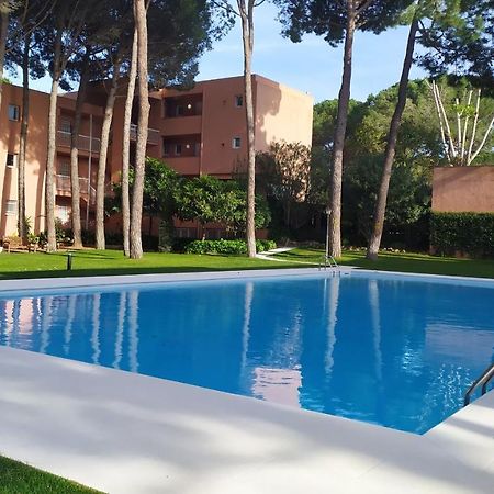 פאלס Bonito Apartamento, Con Piscina, Excelente Wifi Y Aire Acondicionado מראה חיצוני תמונה