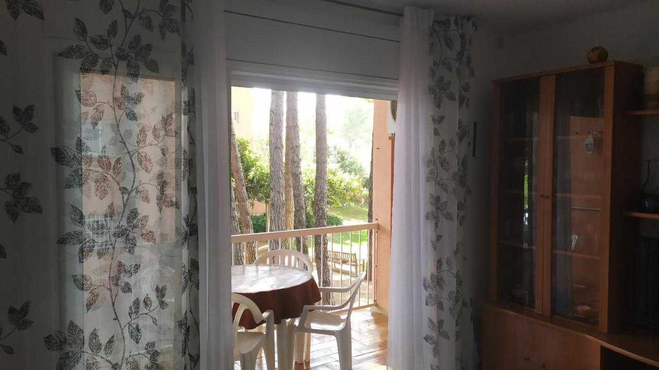 פאלס Bonito Apartamento, Con Piscina, Excelente Wifi Y Aire Acondicionado מראה חיצוני תמונה