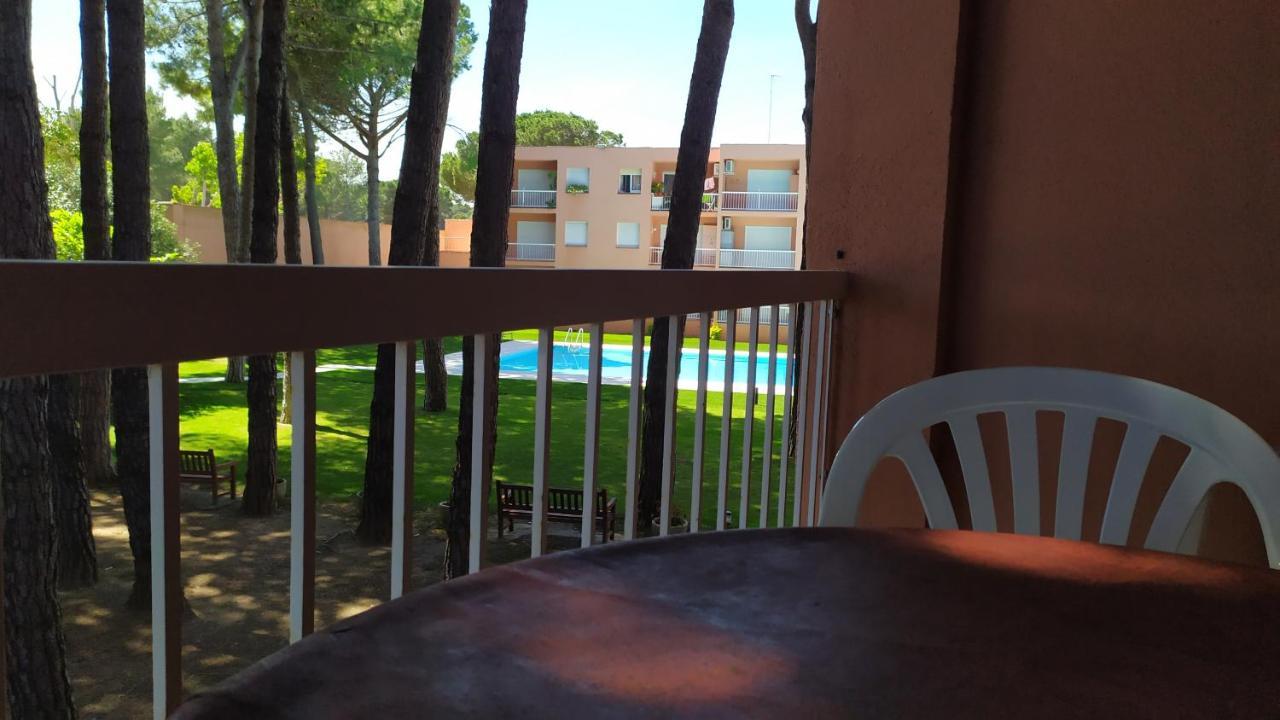 פאלס Bonito Apartamento, Con Piscina, Excelente Wifi Y Aire Acondicionado מראה חיצוני תמונה