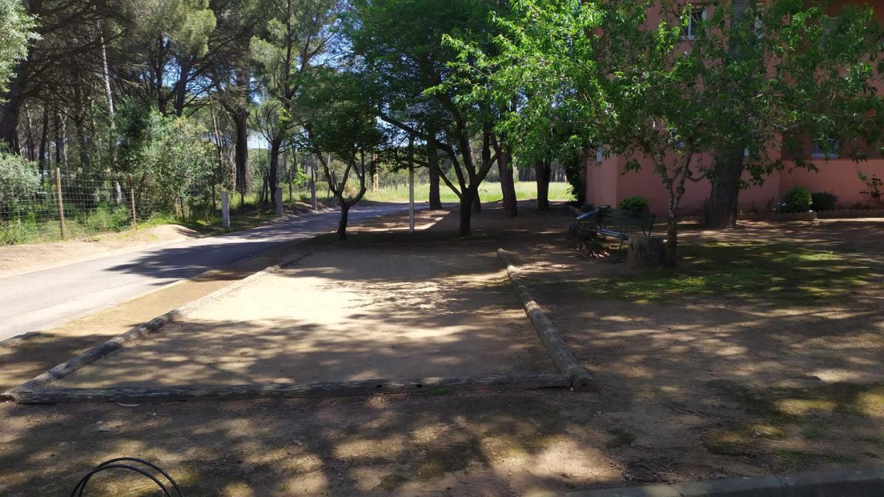 פאלס Bonito Apartamento, Con Piscina, Excelente Wifi Y Aire Acondicionado מראה חיצוני תמונה