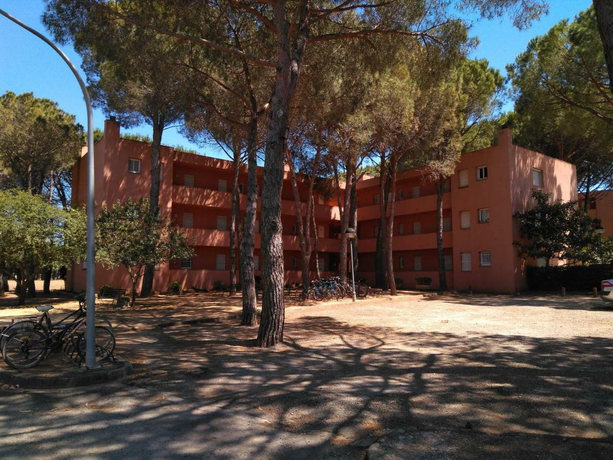 פאלס Bonito Apartamento, Con Piscina, Excelente Wifi Y Aire Acondicionado מראה חיצוני תמונה